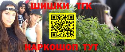 гашик Бийск