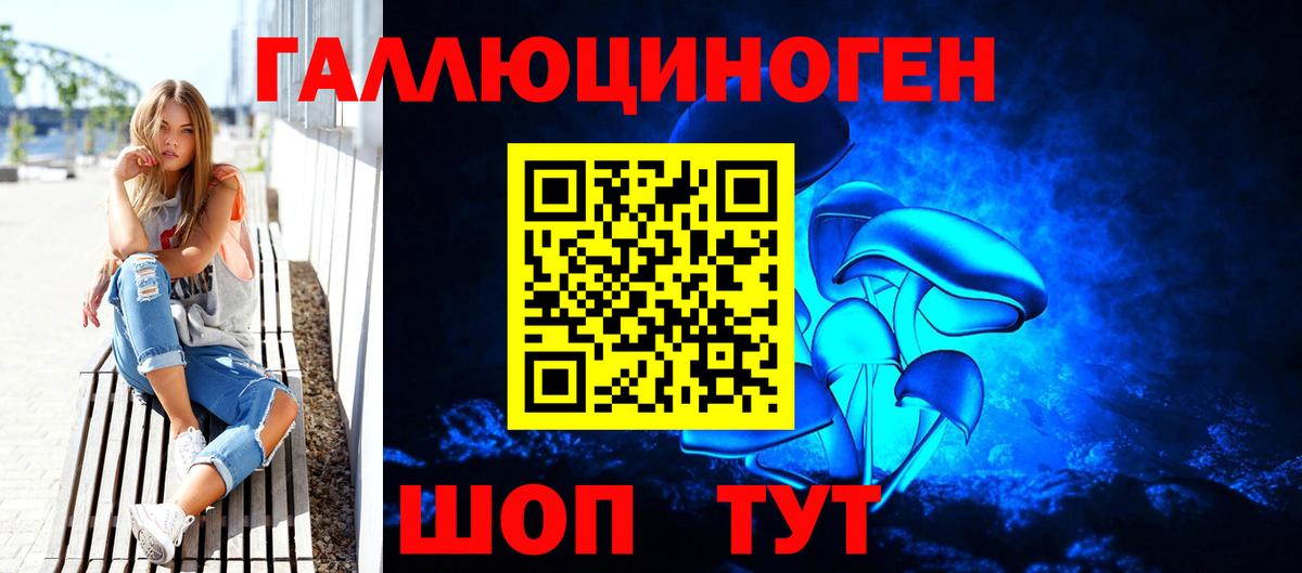 Галлюциногенные грибы Magic Shrooms  Галлюциногенные грибы Psilocybine cubensis  Карачаевск  где купить наркоту  Вход с VPN 